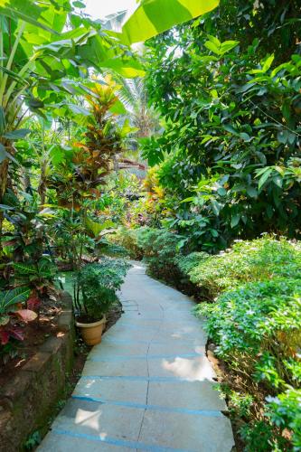 a path through a garden with plants and trees at Resort Palmeiras Dourado in Cansaulim