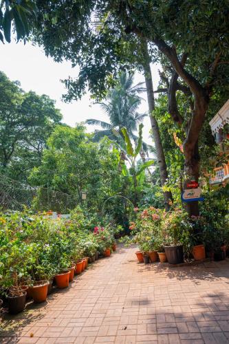 a walkway lined with potted plants and trees at Resort Palmeiras Dourado in Cansaulim