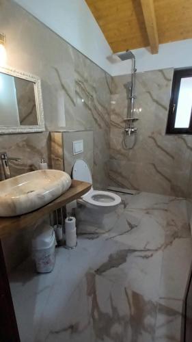 ein Marmorbad mit Waschbecken und Toilette in der Unterkunft Chalet Alina in Borşa