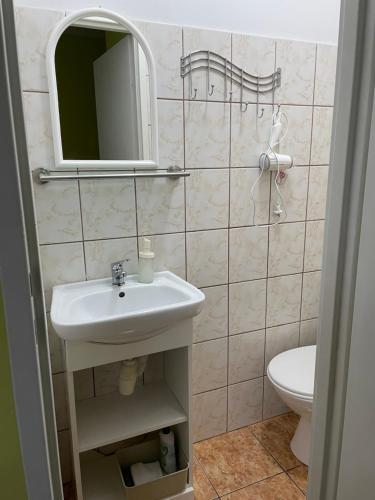 a bathroom with a sink and a mirror and a toilet at UPaniAni in Ustronie Morskie