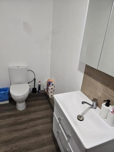 ein weißes Badezimmer mit Toilette und Waschbecken in der Unterkunft Draugų sodyba in Trimputiškis