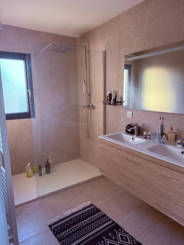 une salle de bain avec une douche, un lavabo et un miroir dans l'établissement Villa des Bananiers, à Baillargues