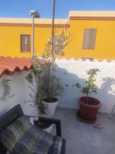 a patio with two potted plants and a couch at Alba 2 apartamento y Alba 3 habitación con baño in Puerto del Rosario