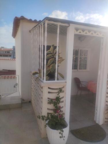 a white pergola on a balcony with a plant at Alba 2 apartamento y Alba 3 habitación con baño in Puerto del Rosario