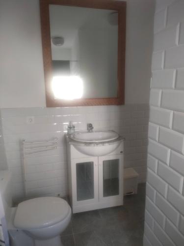 a bathroom with a toilet and a sink and a mirror at Alba 2 apartamento y Alba 3 habitación con baño in Puerto del Rosario