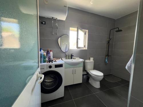 a bathroom with a toilet sink and a washing machine at Canyon's house in Çorovodë