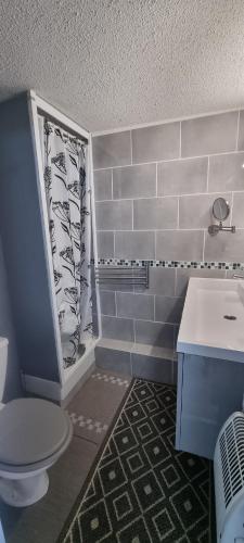 une salle de bain avec toilettes et lavabo dans l'établissement Résidence Front de Mer, Appt 5 couchages, au Barcarès