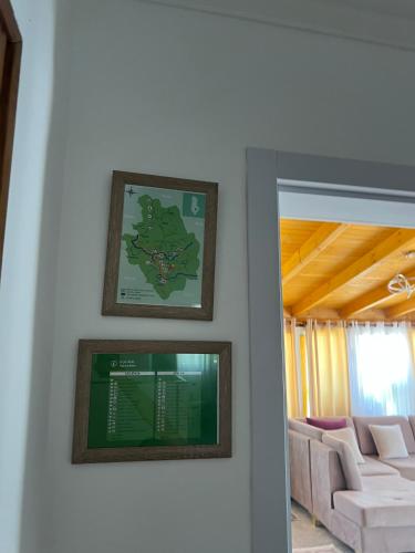 two pictures on the wall of a living room with a couch at Canyon's house in Çorovodë