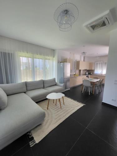Χώρος καθιστικού στο Peonia Villa ValaMar