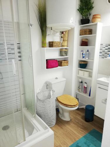 La salle de bains est pourvue de toilettes et d'une douche en verre. dans l'établissement vue mer et montagne, accès direct plage, à Leucate-Plage