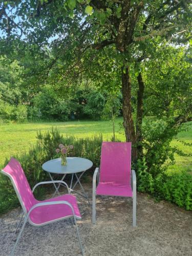 Κήπος έξω από το Gîte en Cévennes - Les Taillades