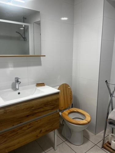 La salle de bains est pourvue de toilettes en bois et d'un lavabo. dans l'établissement Le Balcon Beaujolais, à Pouilly-le-Monial