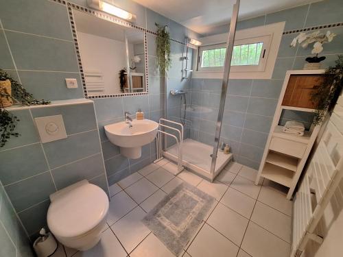 Un baño con inodoro, lavabo y ducha. en Le jardinet d'Emma - Appart RDC avec jacuzzi, parking, au calme, en Raphèle