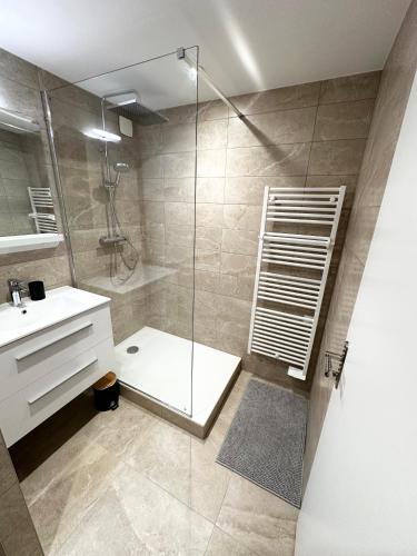 une salle de bain avec douche et lavabo dans l'établissement Place SAINT PAUL triplex 19m2, à Vienne
