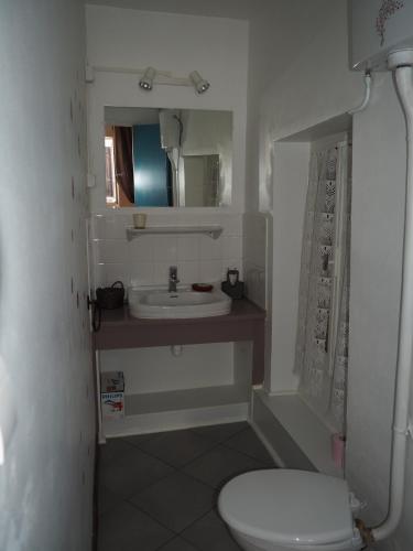 une petite salle de bain avec toilettes et lavabo dans l'établissement Gîte Le petit Bonheur dans la vallée du Tarn, à Ambialet