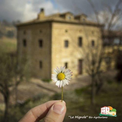 a person holding a flower in front of a building at Le Mignole in Orsogna