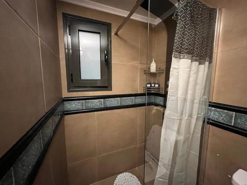 a bathroom with a shower and a mirror at Garden villa two-bedroom suite in Vari