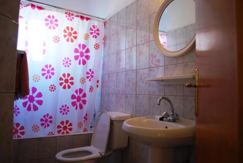 a bathroom with a sink and a toilet and a shower curtain at Georgia Apartments in Paphos