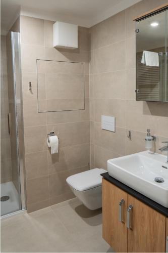 a bathroom with a toilet and a sink and a shower at Apartmán Vilda in Dolní Morava