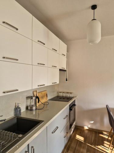 Køkken eller tekøkken på Apartament Ruczaj