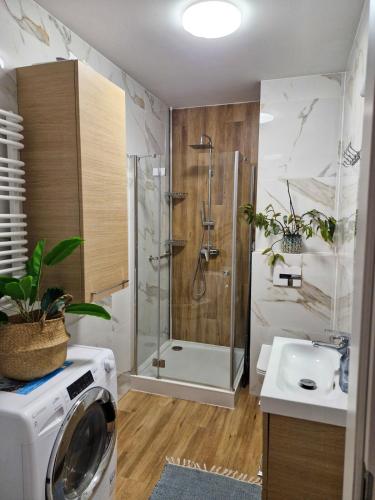 Et badeværelse på Apartament Ruczaj