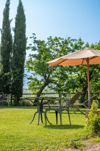 a picnic table and an umbrella in the grass at Agriturismo La Cascina di Opaco in Norcia