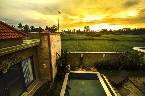 a house with a swimming pool in front of a field at Ubud Lestari Villa in Ubud