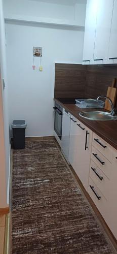 a kitchen with a sink and a counter top at Gornja mahala in Božići