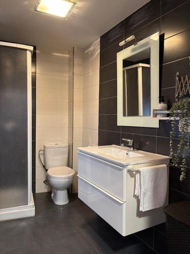 a bathroom with a toilet and a sink and a mirror at Apartamento EL FRONTERO in Belorado