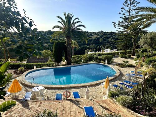 a swimming pool in a garden with chairs and trees at Casinha do Amor in Guia