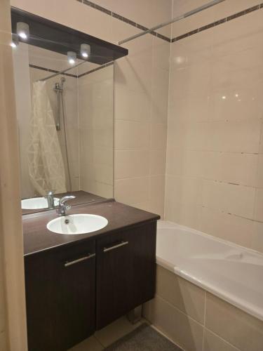 une salle de bain avec un lavabo et une baignoire dans l'établissement Terracotta, à Lyon