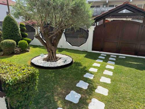 a garden with a tree and rocks in the grass at Amaryllis House in Platamonas