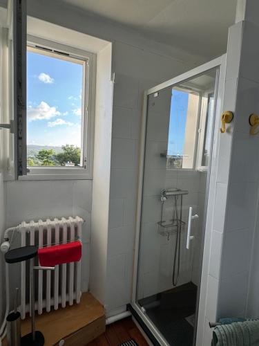 La salle de bains est pourvue d'une douche et d'une fenêtre. dans l'établissement Villa Auguste chambre lumineuse, à Quimper