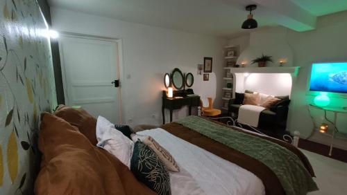 a bedroom with a bed and a tv in it at Une bulle de bien être au rendez vous in Pexiora
