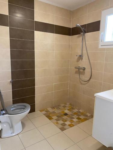 un bagno con doccia e WC di Dépendance paisible a Ventenac-Cabardès