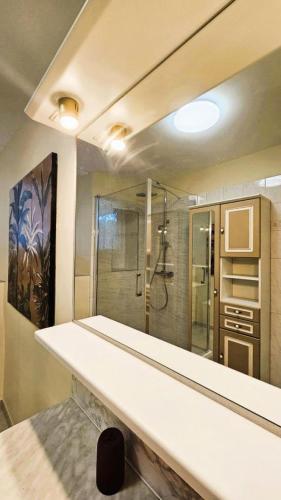 La salle de bains est pourvue d'une douche et d'un comptoir blanc. dans l'établissement Gîte de France Les jeunes années 3 épis - Gîte de France 6 personnes MAE-3553, à Turenne