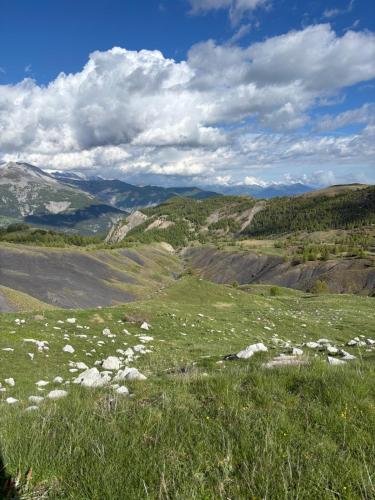 a field of grass with white flowers on a hill at Chalet Le refuge in Allos