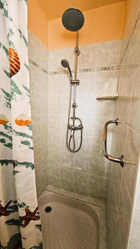 une douche dans une salle de bain avec toilettes dans l'établissement Gîte de France Les saulières pour 2 2 épis - Gîte de France 2 personnes MAE-1333, à Monceaux-sur-Dordogne