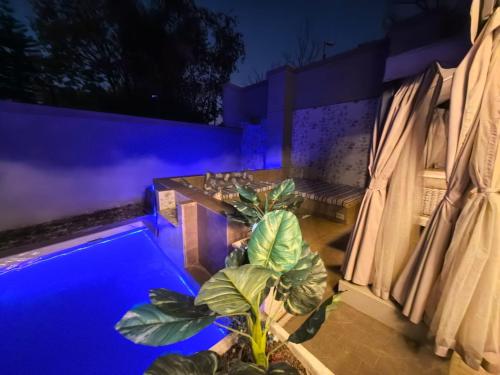 Kolam renang di atau dekat dengan Bryanston Palms Accommodation