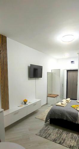 a bedroom with a bed and a tv on the wall at Honey Studio in Onești