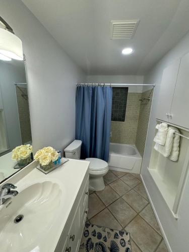 a bathroom with a sink and a toilet and a shower at Beautiful house with jacuzzi near AnnaMariaIsland in Bradenton