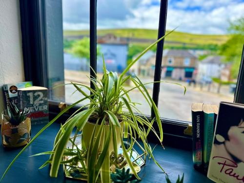 a plant sitting on a table next to a window at Luxury apartment, Mountain View in a Heritage Town in Blaenavon