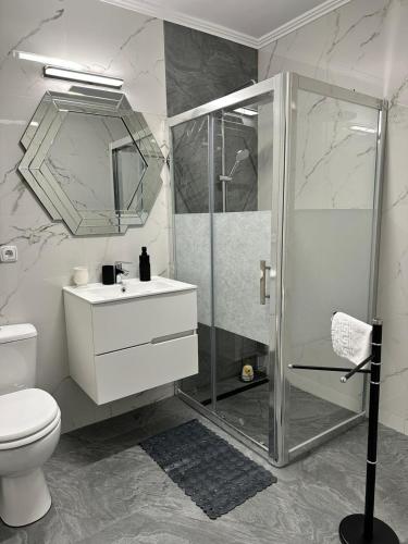 a bathroom with a shower and a toilet and a sink at Brillante Apartament in Floreşti