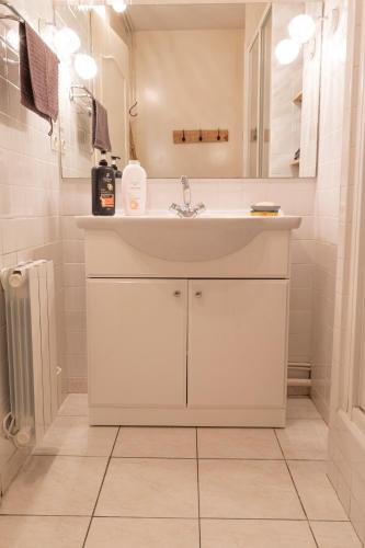 une salle de bain blanche avec un lavabo et un miroir dans l'établissement T4 - Charmant Appartement à Saint Aignan, à Saint-Aignan