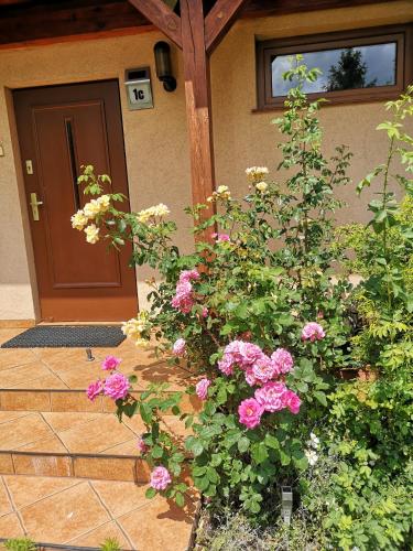 a bush of pink flowers in front of a house at Ustroń Dom Aneta in Ustroń