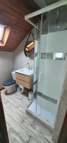 une salle de bain avec une douche, un lavabo et des toilettes dans l'établissement Clarallen, à Saint-Vaury