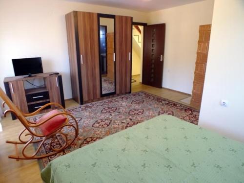 ein Wohnzimmer mit einem Tisch, einem Stuhl und einem Teppich in der Unterkunft Vila CETINA in Fundu Moldovei