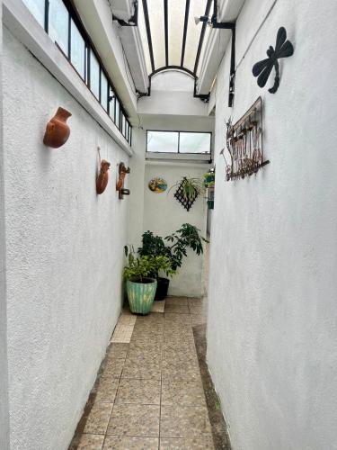 a hallway with plants and a skylight in a building at Jireh guesthouse in Antigua Guatemala