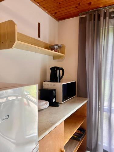 a kitchen with a microwave and a coffee maker on a counter at Chata Roda s vnitřní saunou in Rabyně
