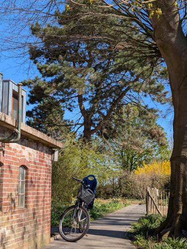 a bike parked on a sidewalk next to a tree at Traumkrone Ferienwohnungen - Himmelblau in Schortens